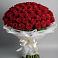 Букет 101 Красная роза Блэк Мэджик в Рахье
