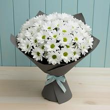 Букет цветов из:  Хризантемы #REPLACE_PRED# Рахье