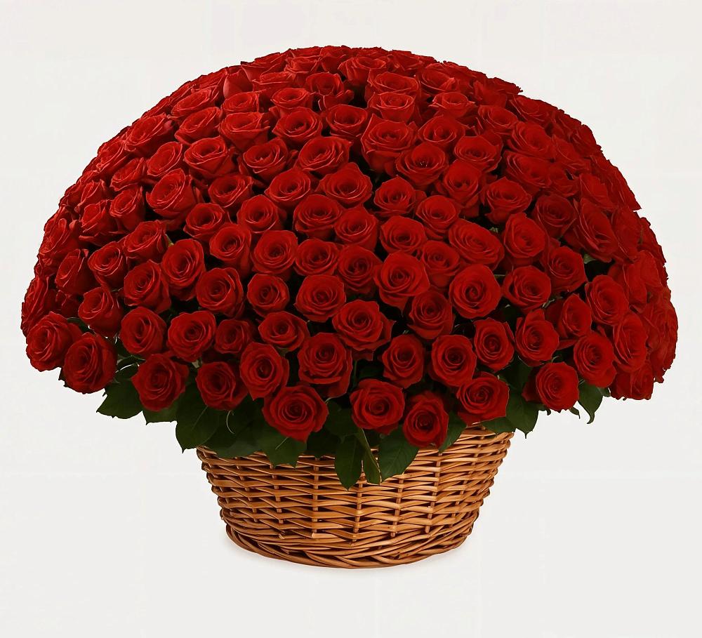 Премиум букет из: Розы в Рахье