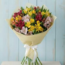 Букет цветов из:  Альстромерии в Рахье