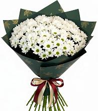 Букет цветов из:  Хризантемы в Рахье