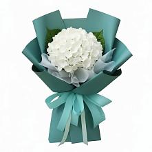 Букет цветов из:  Гортензия #REPLACE_PRED# Рахье